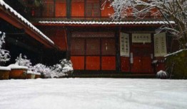 新闻爆料成都,最新爆料揭示城市热点事件