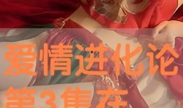 奇爱网在线观看完整版,揭秘虚拟世界的奇幻之旅